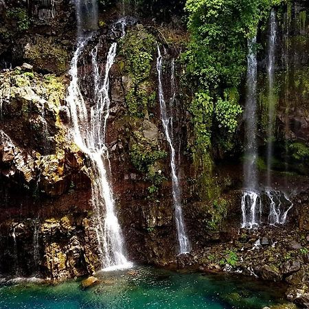Le Gecko Vert Manapany-les Bains Экстерьер фото
